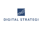 Digital Strategi Skandinavien AB logotyp